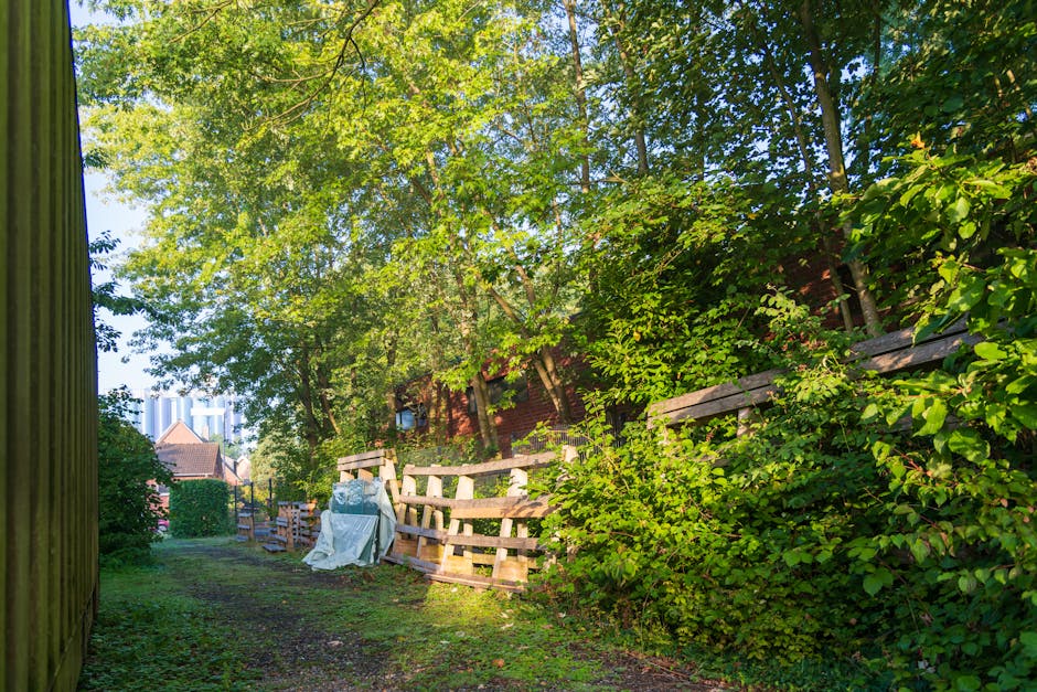 A narrow outdoor pathway next to a green wooden fence on the left and dense foliage on the right, with a backdrop of trees and residential buildings under a clear blue sky. Several wooden pallets are 